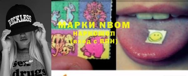 соль ск Надым