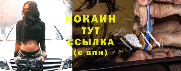 соль ск Надым