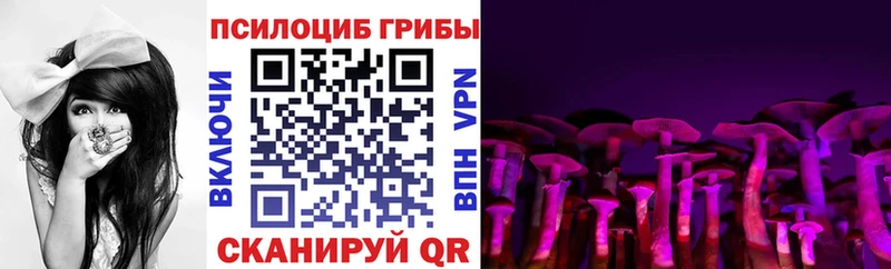 цены наркотик  Нижнеудинск  мега маркетплейс  Галлюциногенные грибы мицелий 